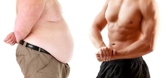 Obesity & Muscle Loss